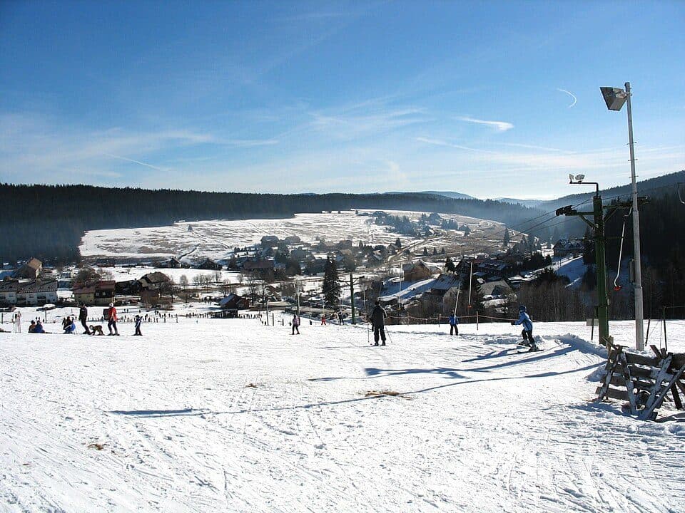 NS Nelesní krajina