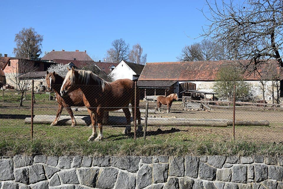Nihošovice — zdjęcie 3