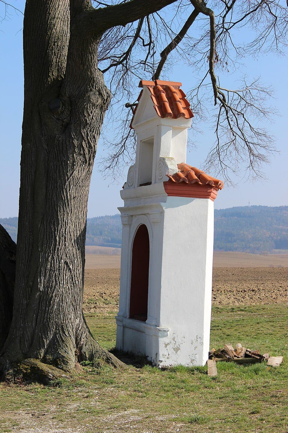 Cehnice — zdjęcie 3