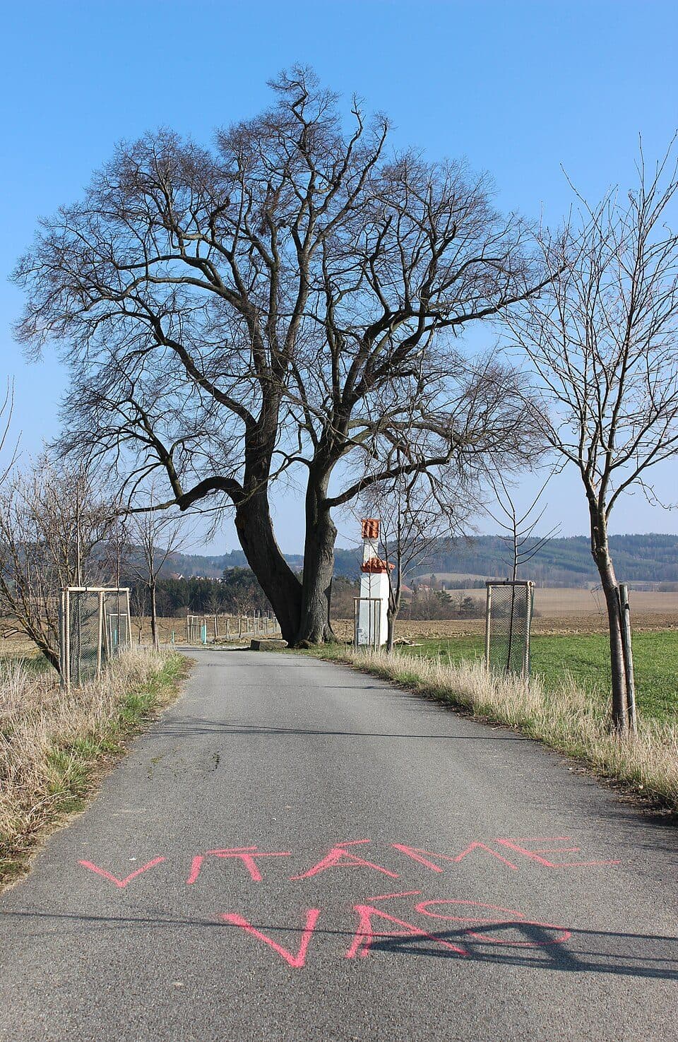Cehnice — zdjęcie 2