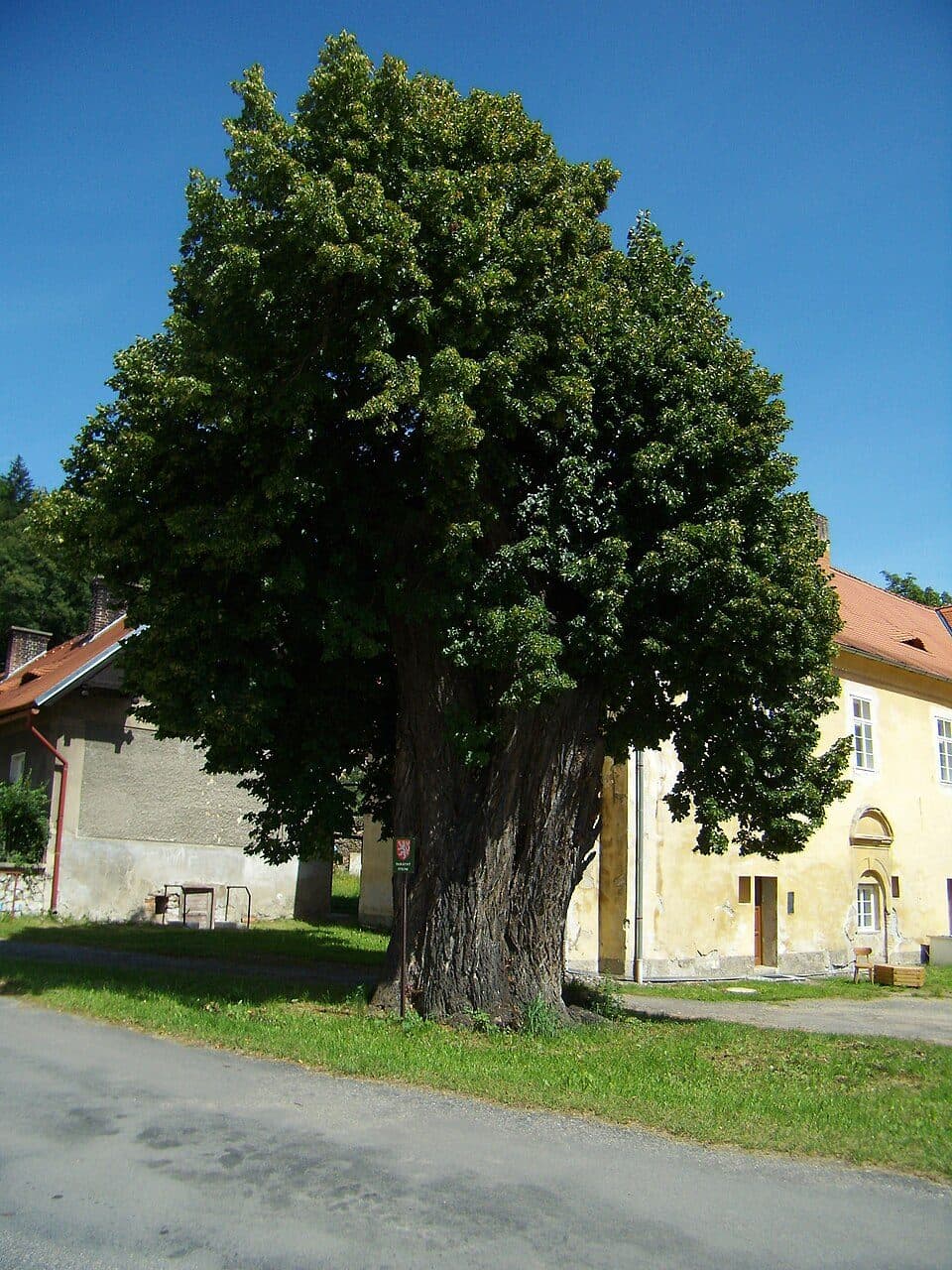 [Č] Sušice - Roklanský potok