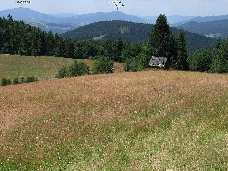 Turbaczyk - Konina - Kudłoń - Lubomierz