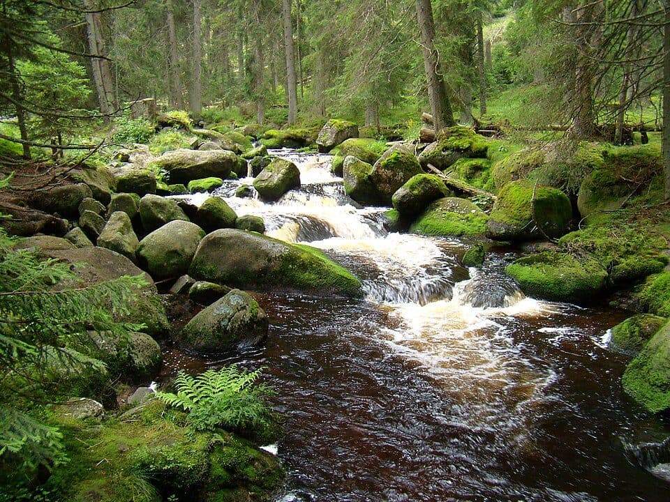 [M] Antýgl - Zlatá studna