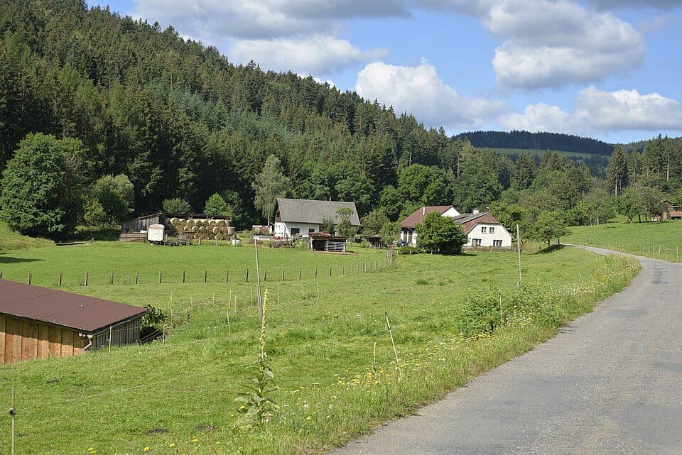 Puchverk