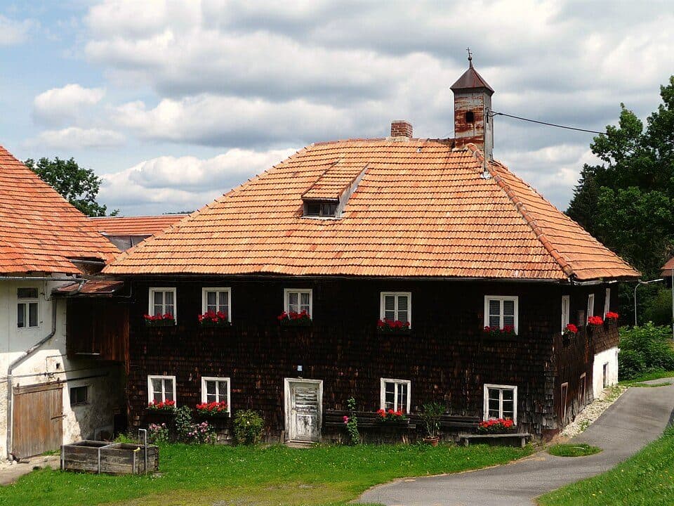 Steinpilz