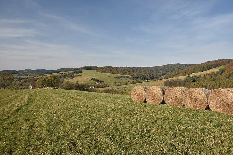 Wola Piotrowa - Wisłok Wielki