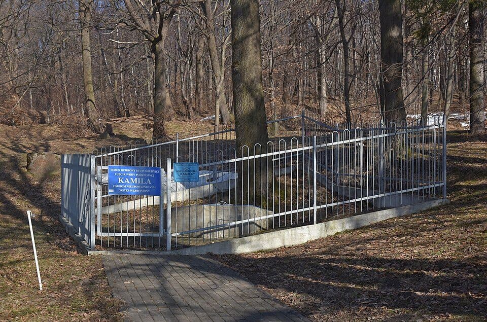 Ścieżka przyrodnicza Buczynowa