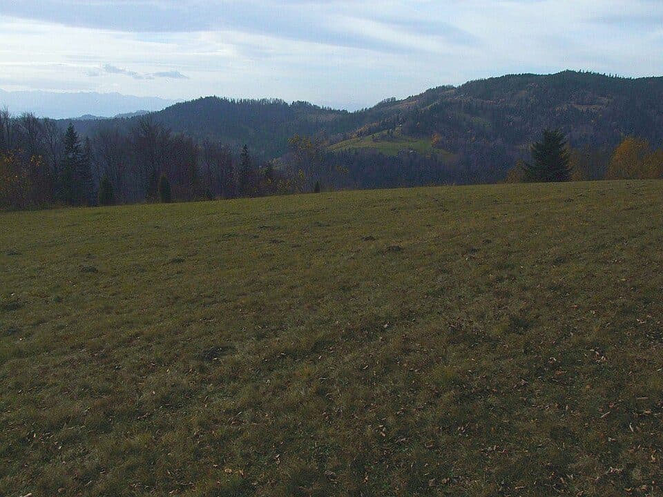 Borsuczyzny