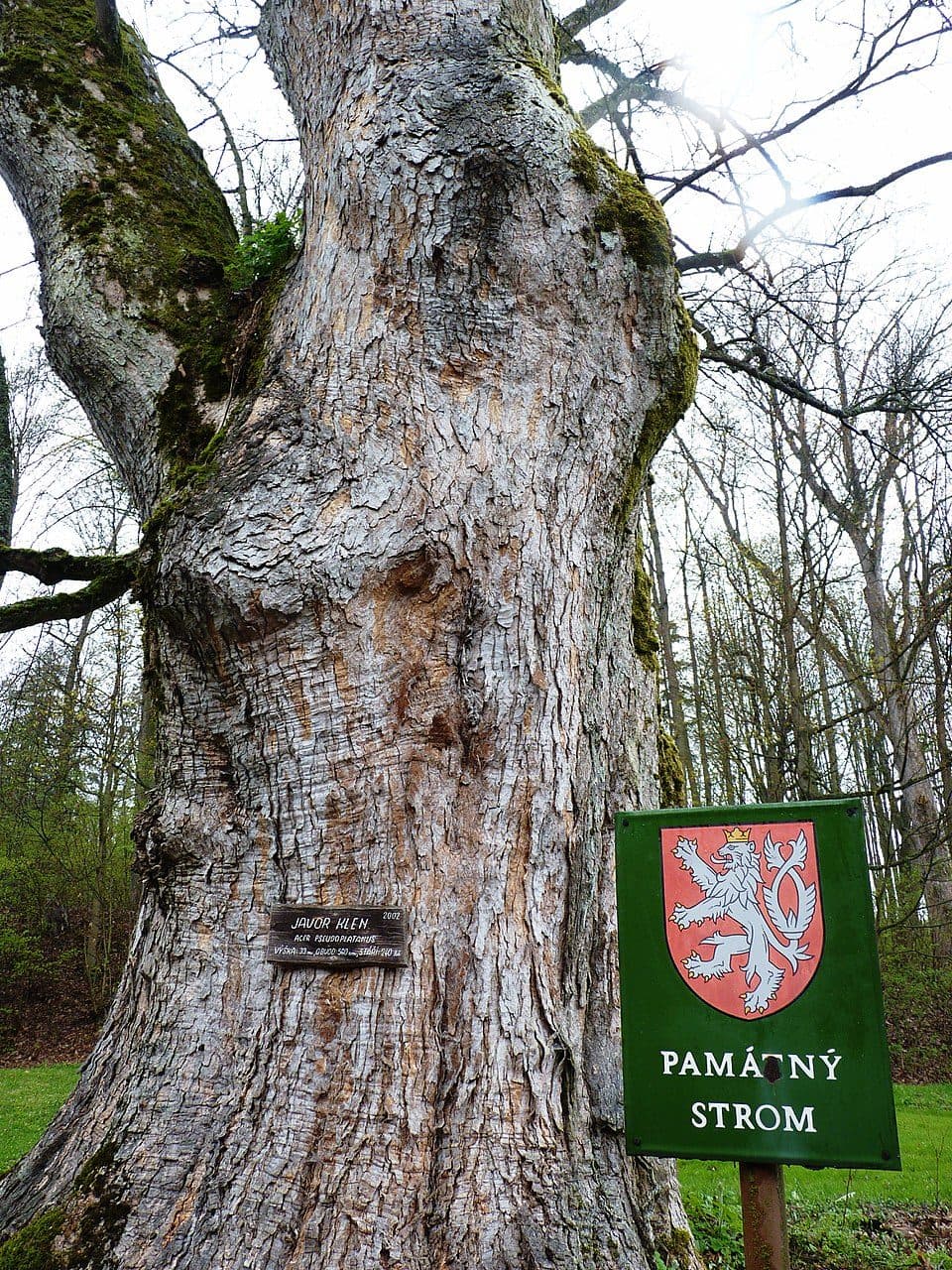 Zámek Kněžice — photo 2