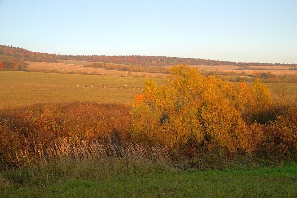 Pustelnia Św. Jana - Porubské sedlo