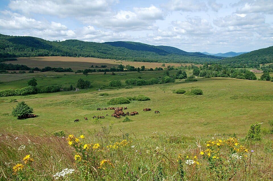 Regietów - Ług