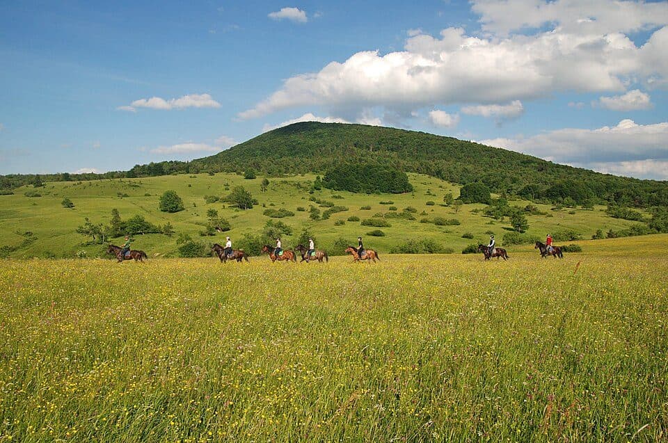 Regietów - Ług