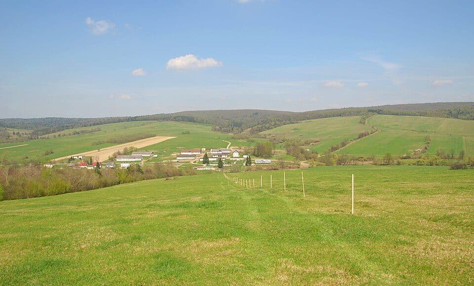 Ożenna