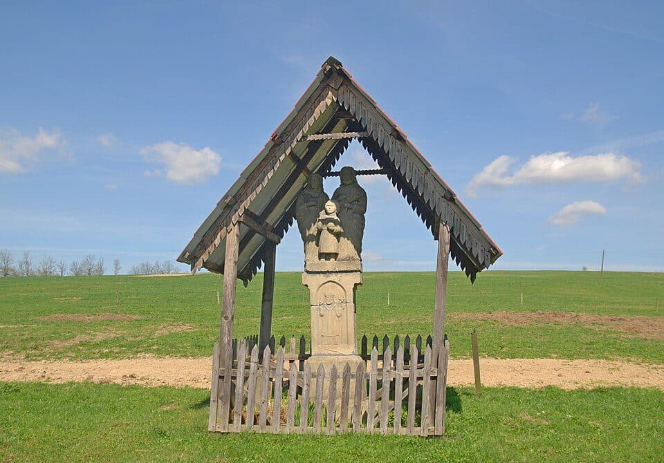 Ożenna - Las Roztoki