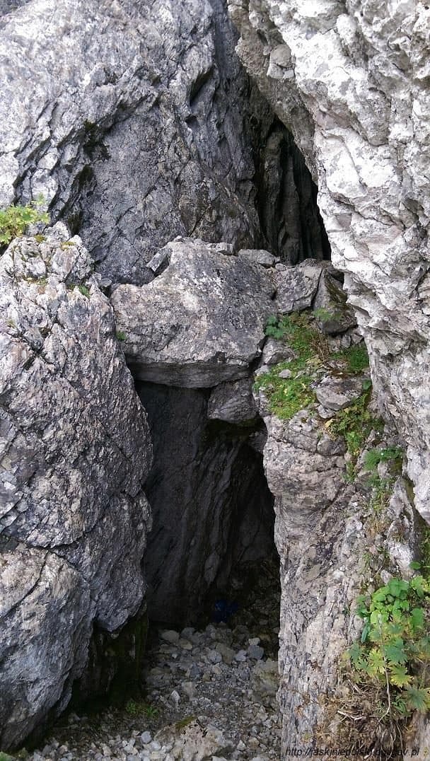 Ptasia Studnia — zdjęcie 2
