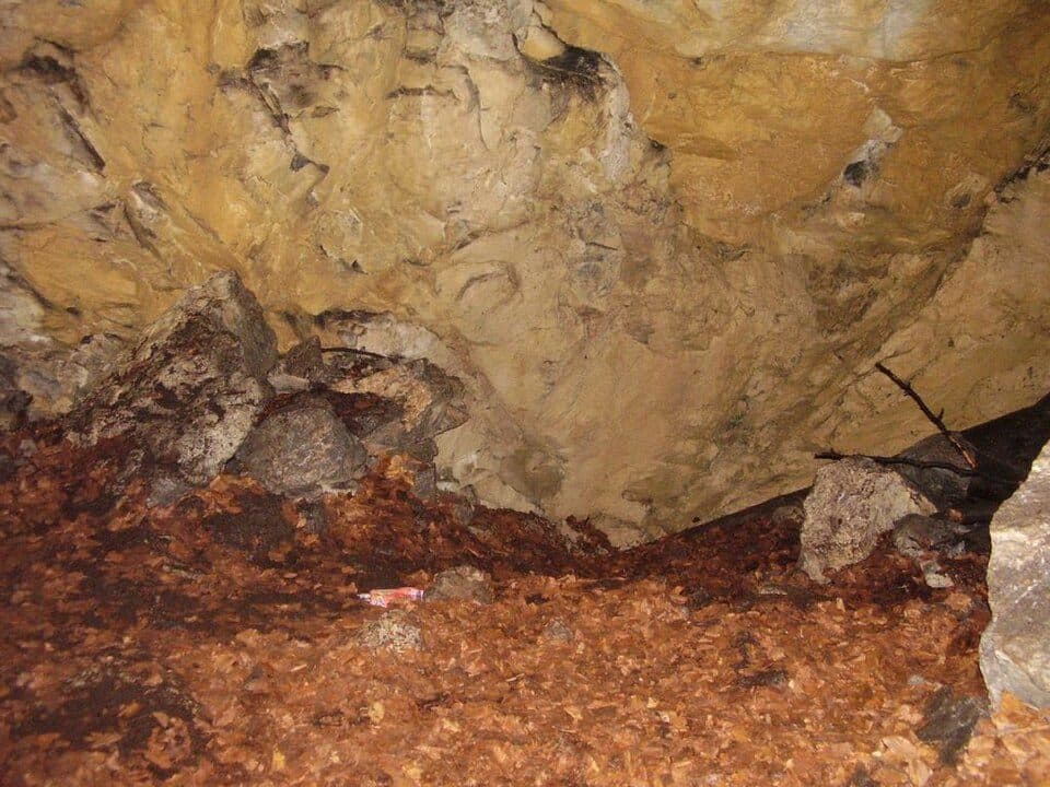 Dziura — 2. fotó