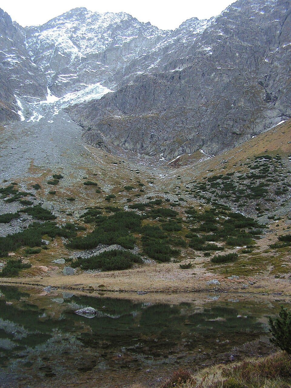 Kołowy Staw — zdjęcie 2