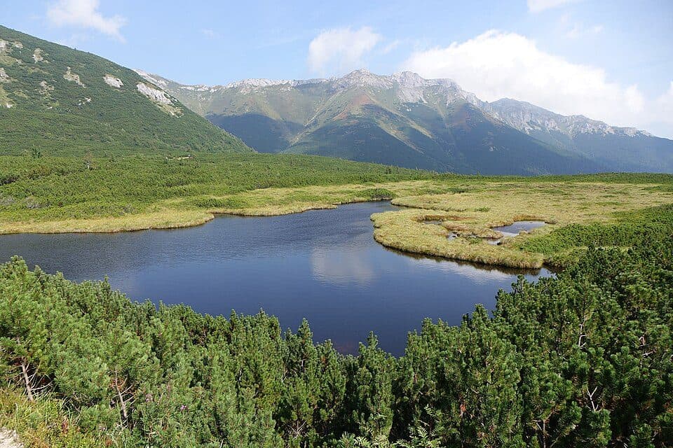 Trojrohé pleso