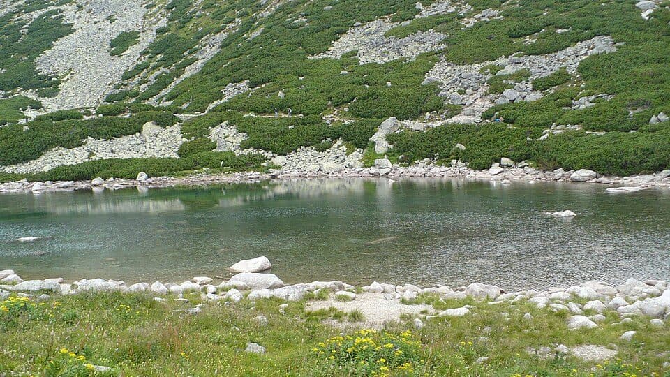 Skalnaté pleso