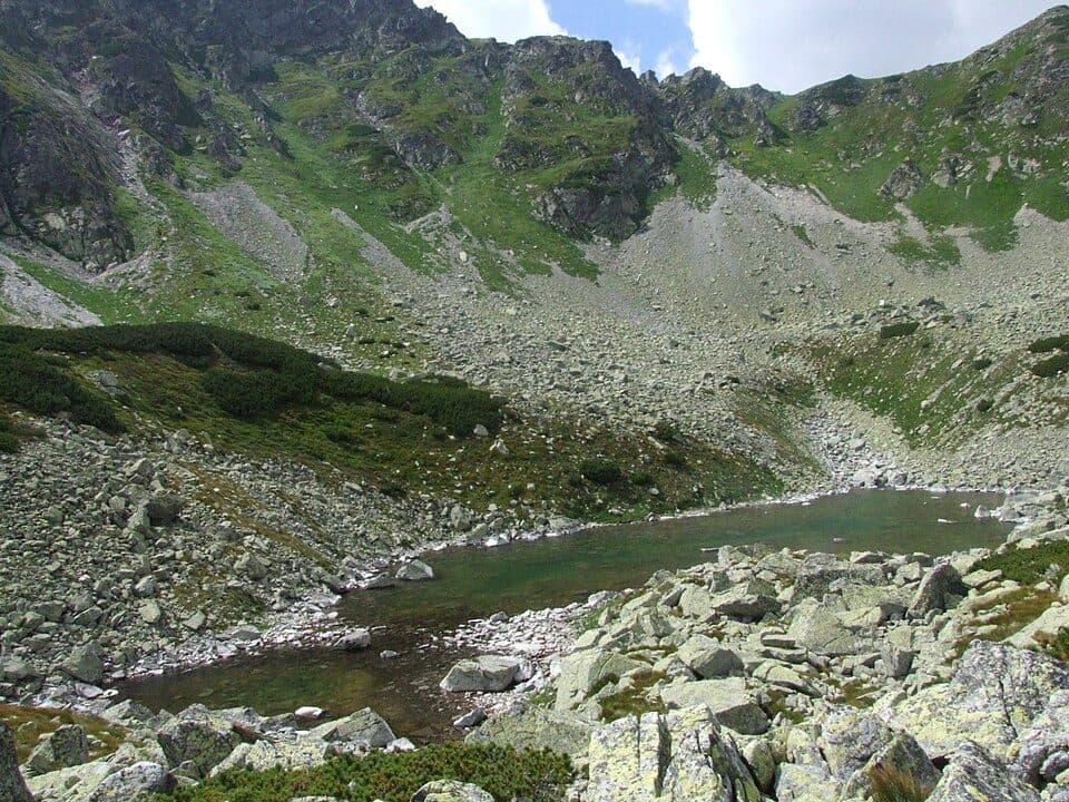 Anusine Oczko