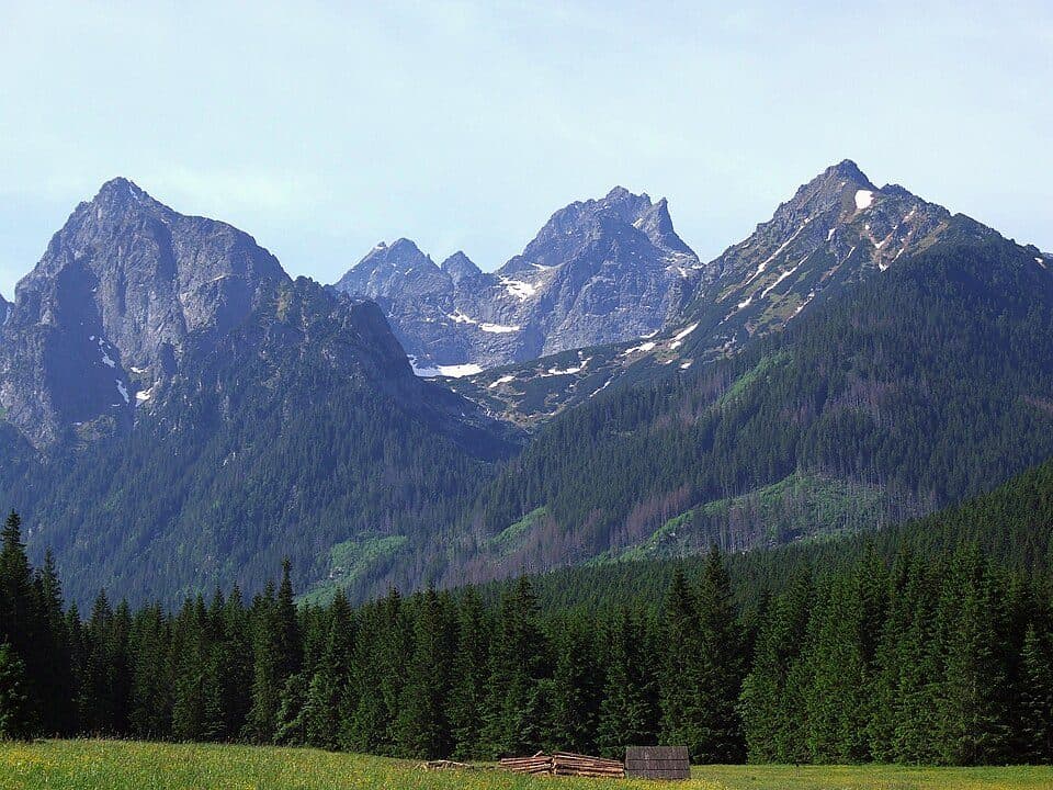Žabia dolina (Bielovodská)