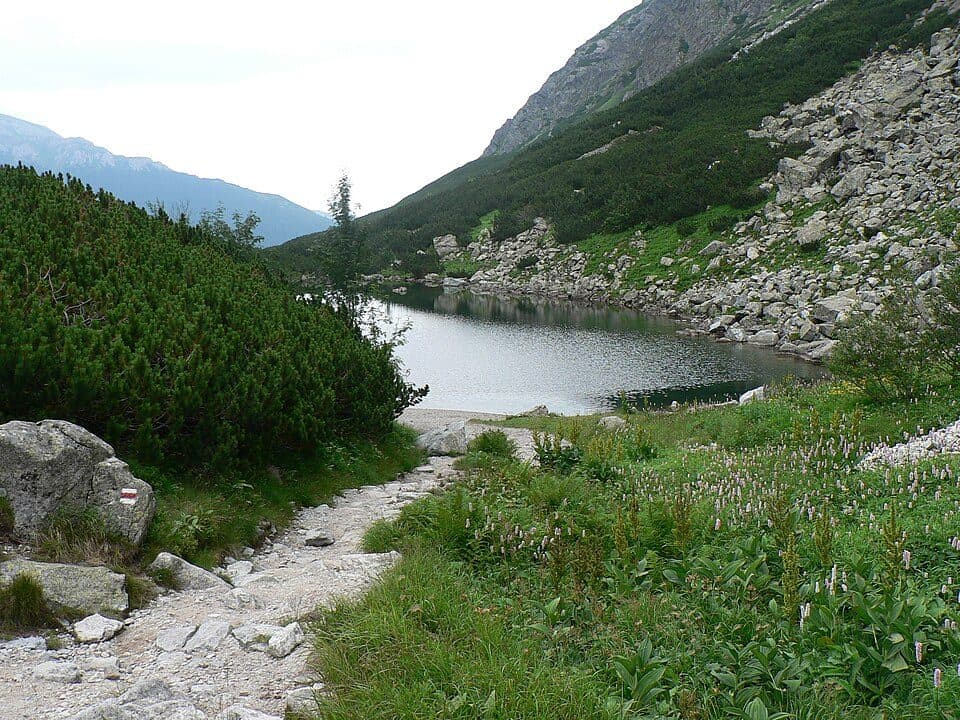 Čierne pleso (dolina Zeleného plesa)