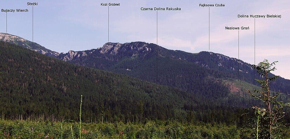 Čierna dolina (Belianske Tatry)