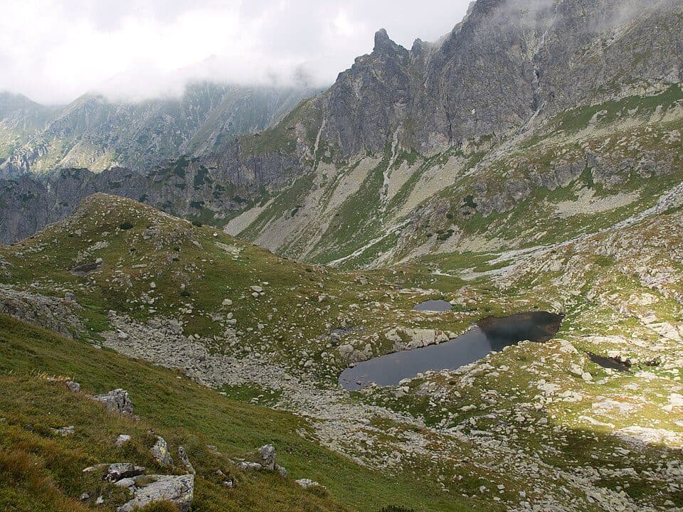 Świstowe Stawki — zdjęcie 1
