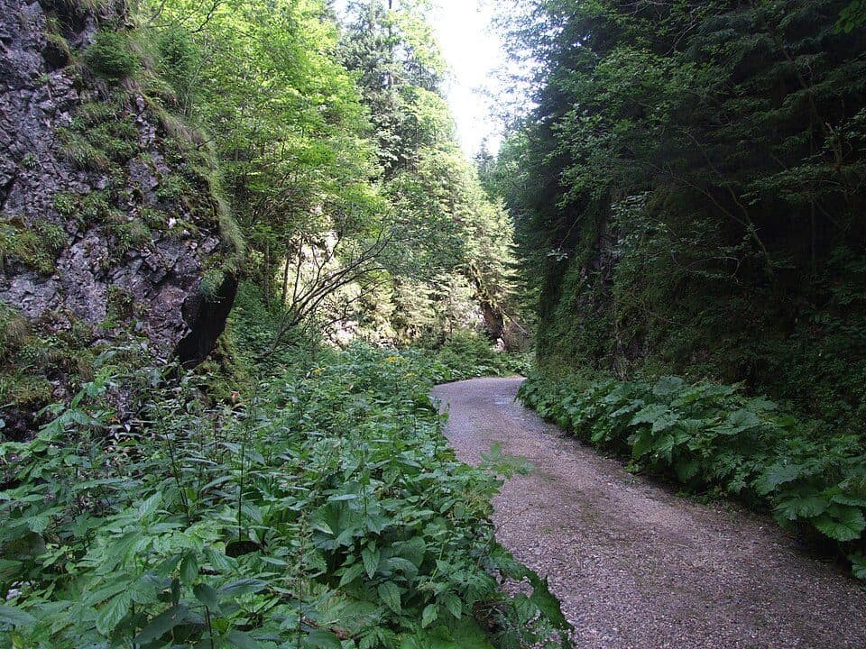 Bobrovecká-völgy — 3. fotó
