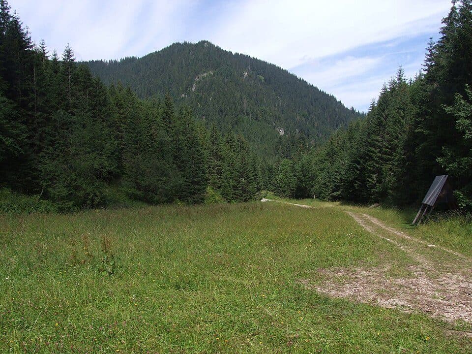 Bobrovecká-völgy — 2. fotó