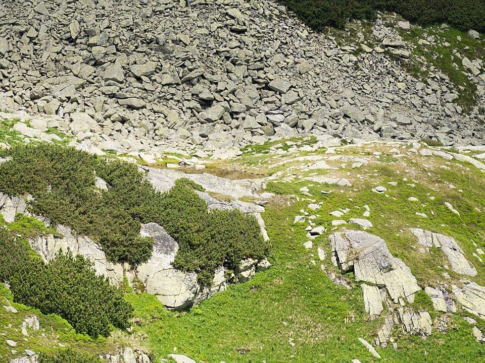 Rázc. pod Temnými smrečinami - Nižné Temnosmrečinske pleso