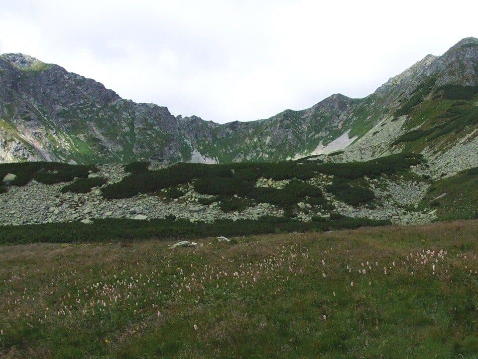 Bystrá dolina (Západné Tatry) — fotografia 3