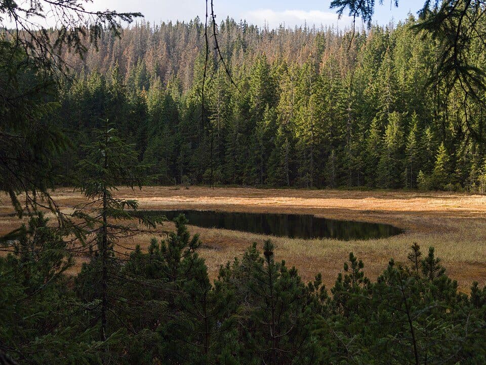 Polana Kopieniec - Toporowa Cyrhla