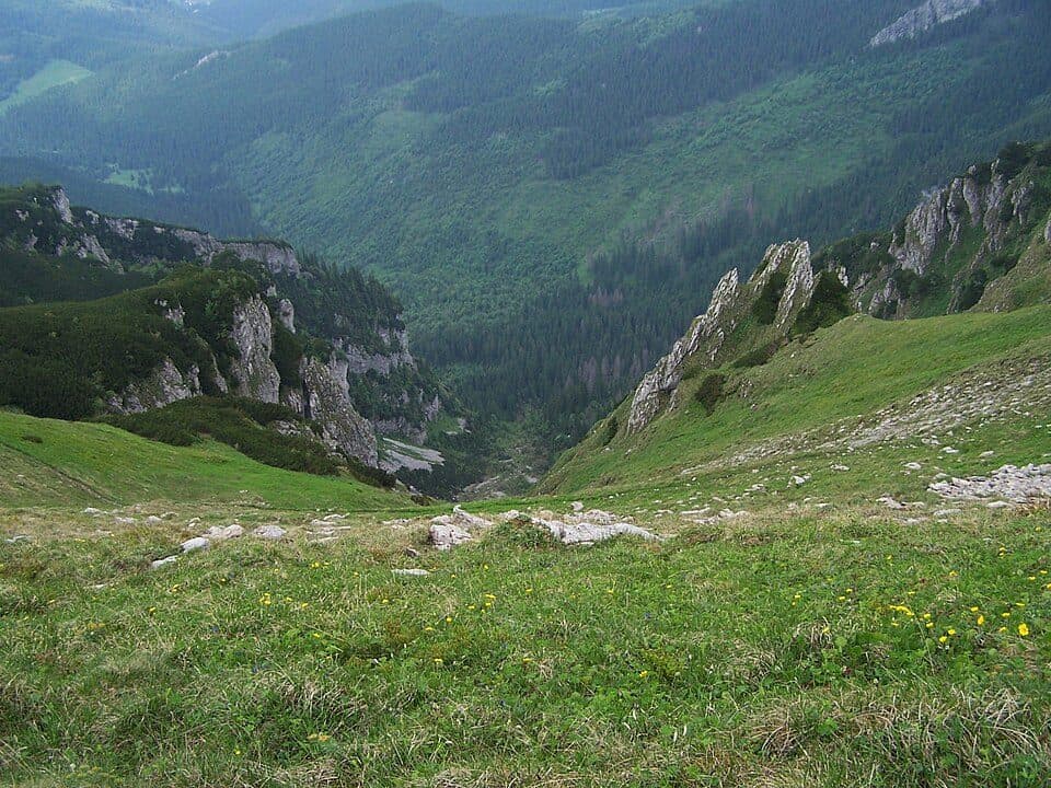 Przysłop Miętusi - Przełęcz w Grzybowcu