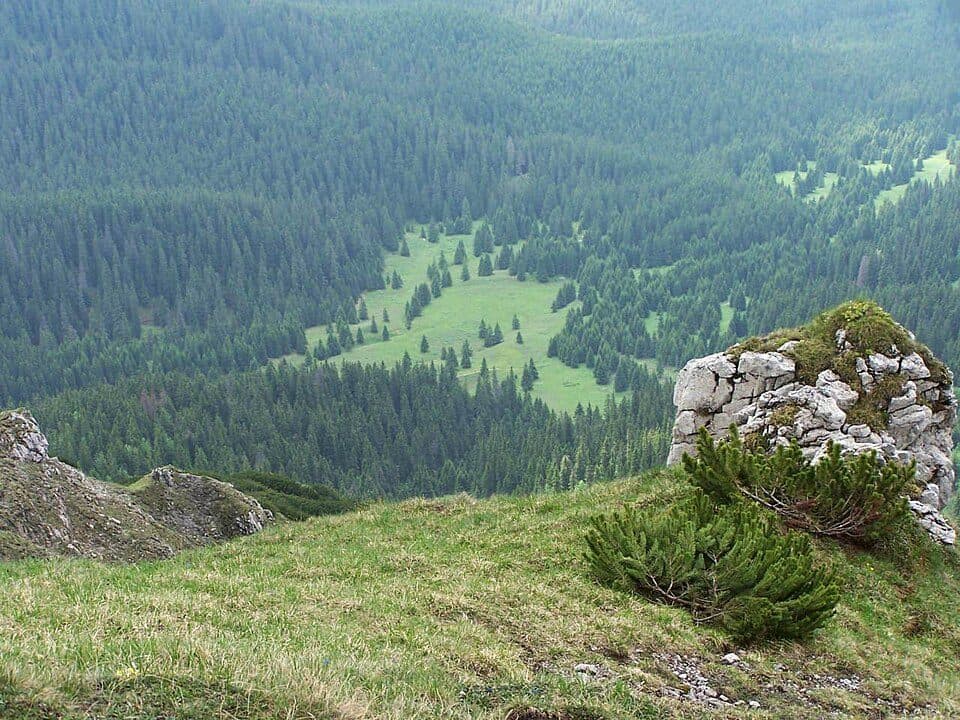 Dolina Kościeliska - Jaskinia Mylna