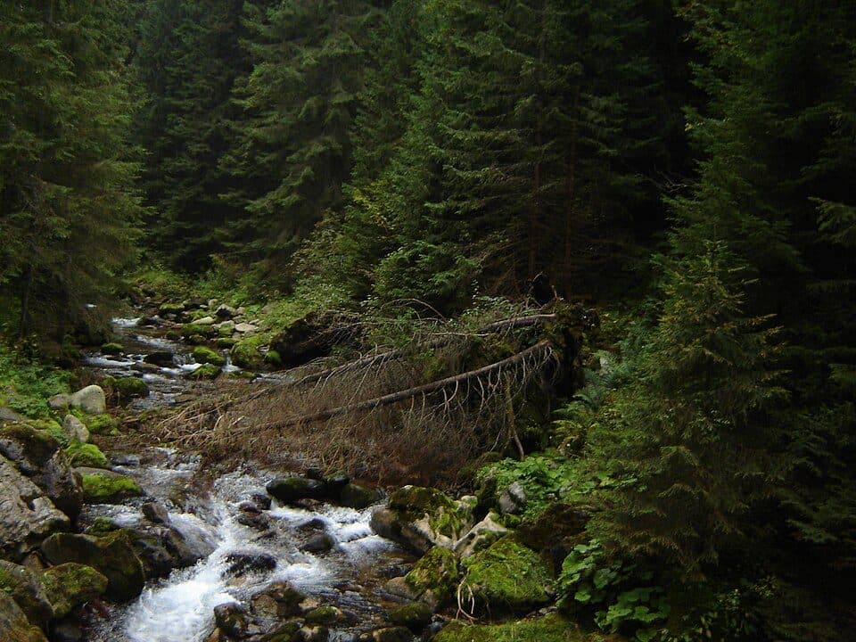 Kiry - Cudakowa Polana
