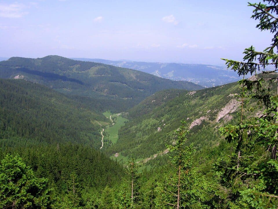 Dolina Jaworzynka