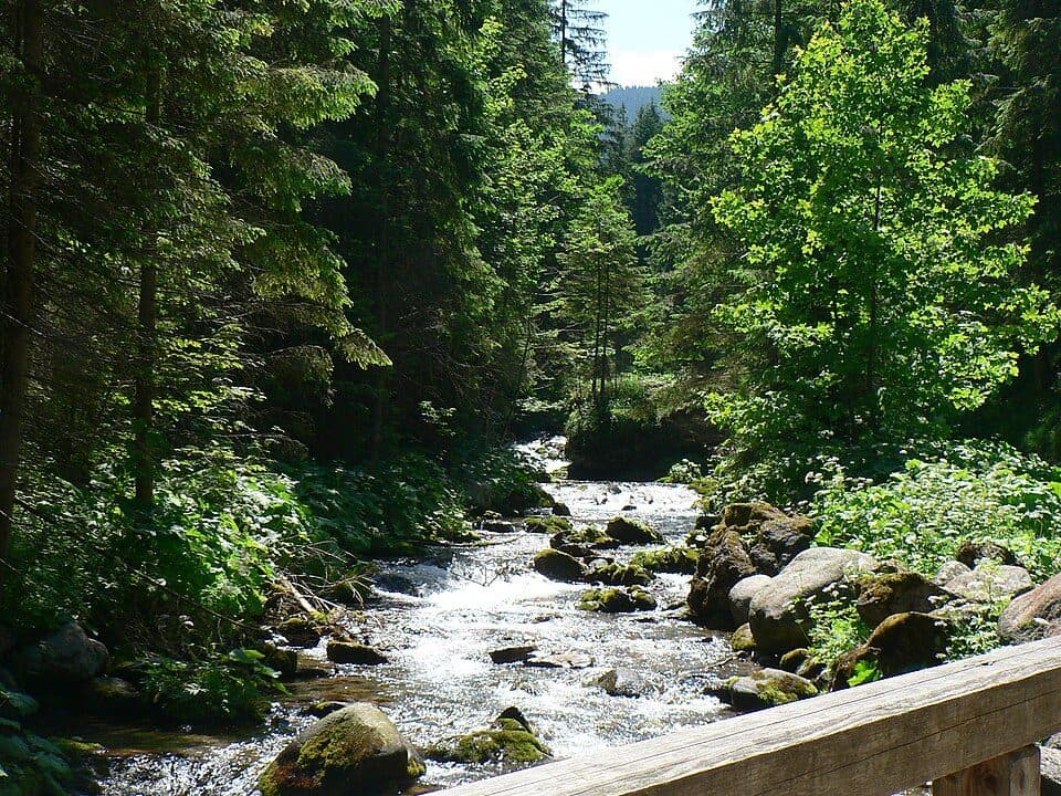 Polana Kopieniec - Toporowa Cyrhla