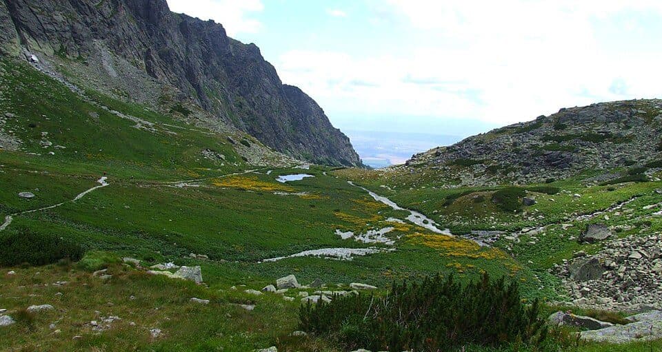Kvetnica (Wielicki Ogród)