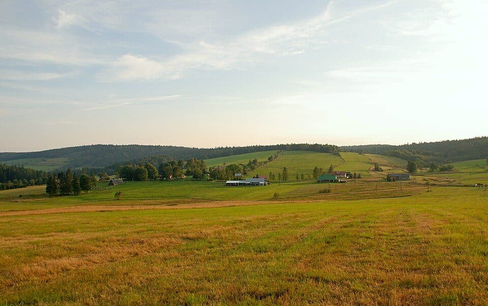Krzywa (województwo małopolskie)
