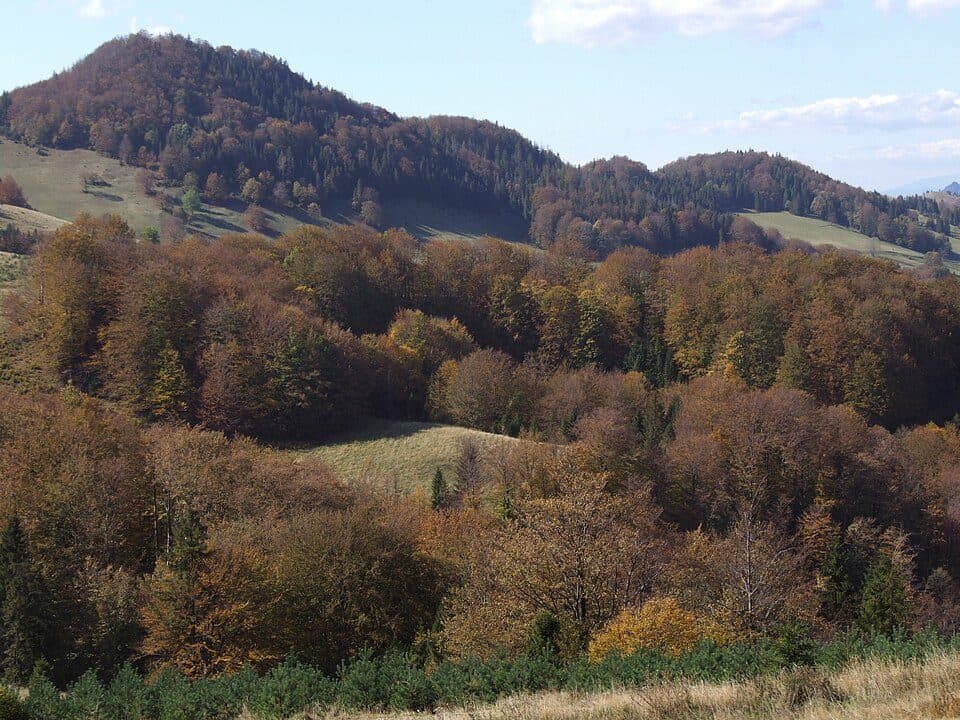 Jaworki - Przełęcz Korbalowa/Stráňanské sedlo