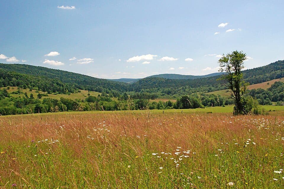 Wołowiec (województwo małopolskie)