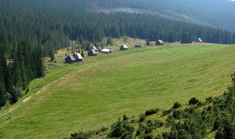 Hala Kopieniec - Psia Trawka