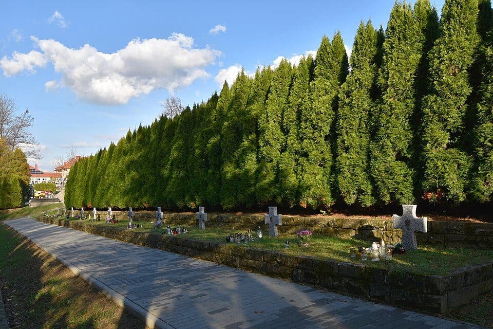 Kalwaryjską ścieżką