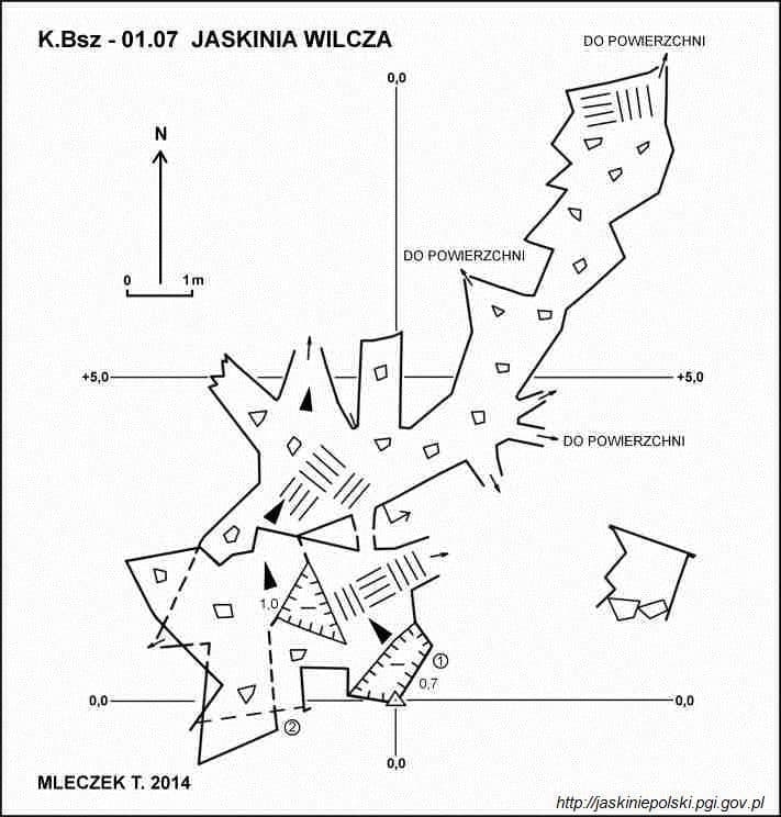 Jaskinia Wilcza (Bieszczady)