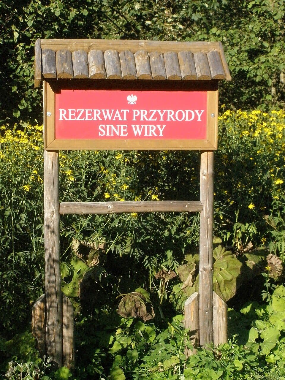 Ścieżka "Sine Wiry" - Kalnica