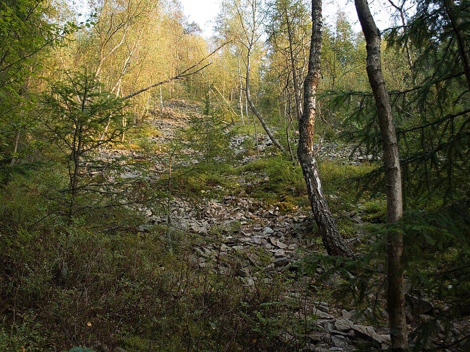 Ścieżka przyrodnicza na Chryszczatą