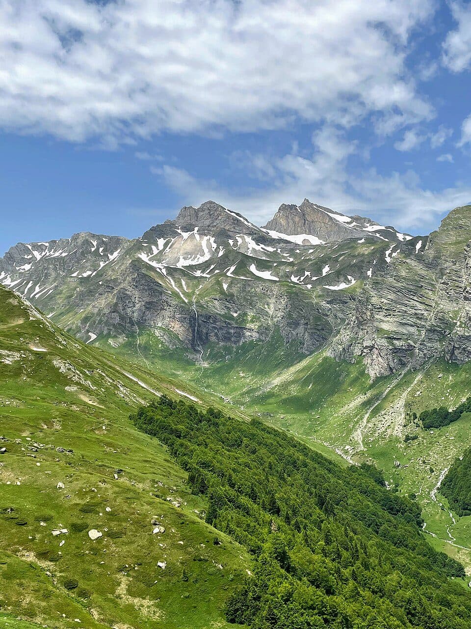 Przełęcz pod Tarnicą - Tarnica