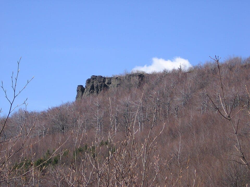 Przełęcz pod Tarnicą - Tarnica