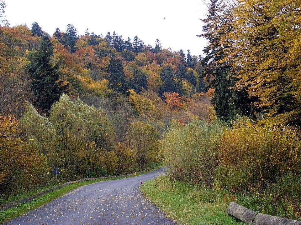 odnoga na Kamień